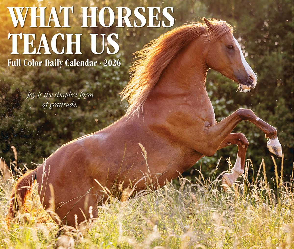 What Horses Teach Us 2026 Box Calendar