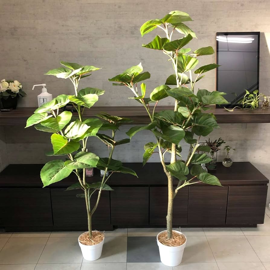 Amazon | フェイクグリーン フィカスウンベラータ 高さ155cm