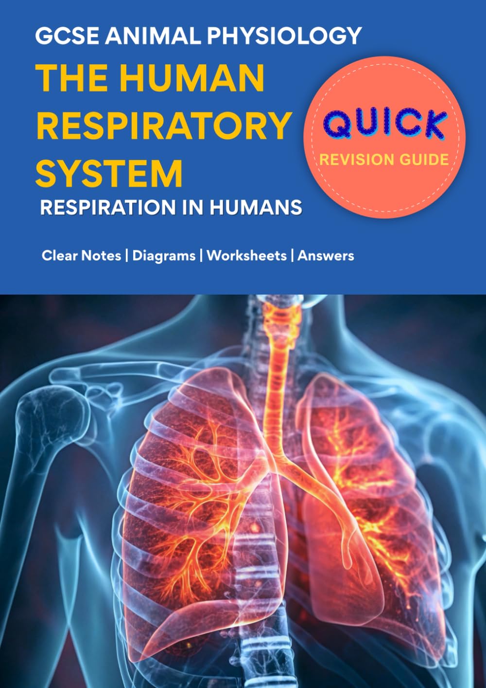 Quick Revision Guide - Human Respiratory System: GCSE Animal Physiology - Clear Notes | Diagrams | Worksheets | Answers: GCSE & IGCSE Biology | Breathing and Gas Exchange
