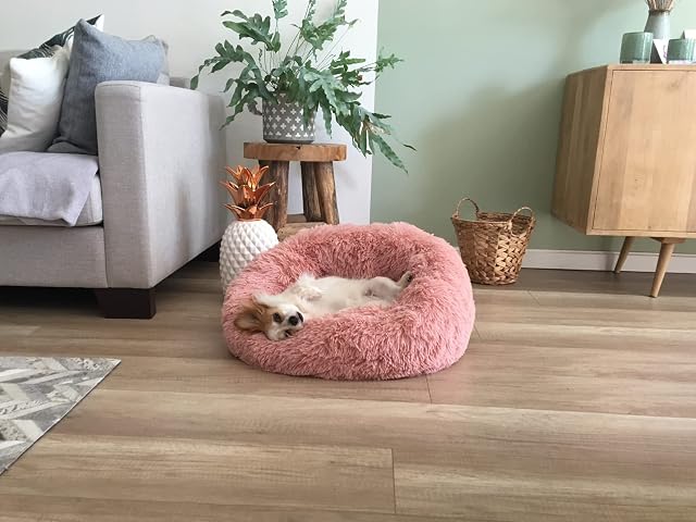 Foto 6 de 6 de Flamingo Krems Soft Round Cushion Diameter 90 cm Dusky Pink