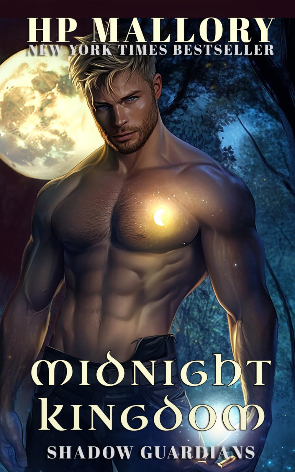 Midnight Kingdom: A paranormal vampire reverse harem series (Shadow Guardians)
