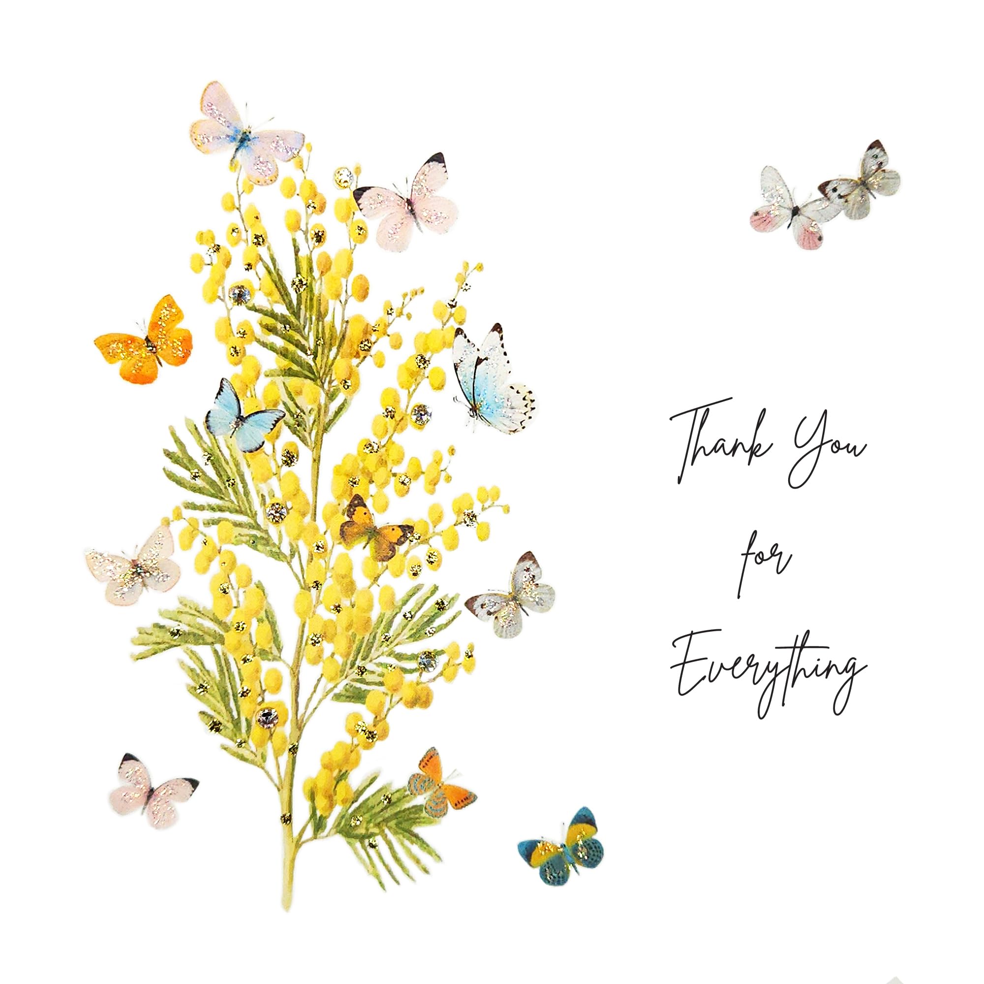 Five Dollar Shake Mimosa Moon - Thank You for Everything - MIM23, Multicoloured, 160 x 160mm