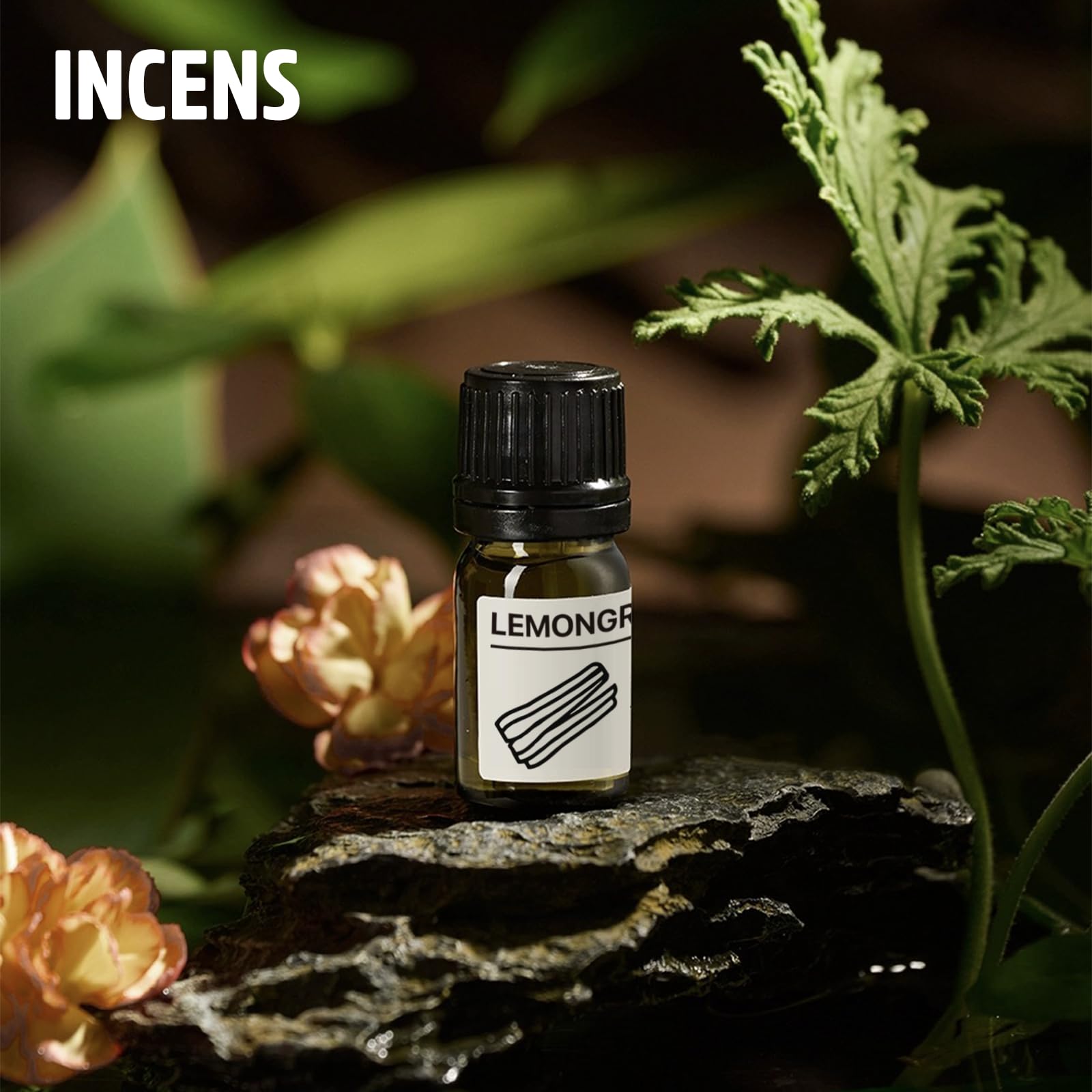 Juego de Aceites Esenciales Serie Chiang Mai, Set de 6 Aceites 100% Puros - Canela, Sándalo, Incienso, Menta, Hierba de Limón, Bergamota 10ML Hacer Velas, Fragancias Frescas y Difusor