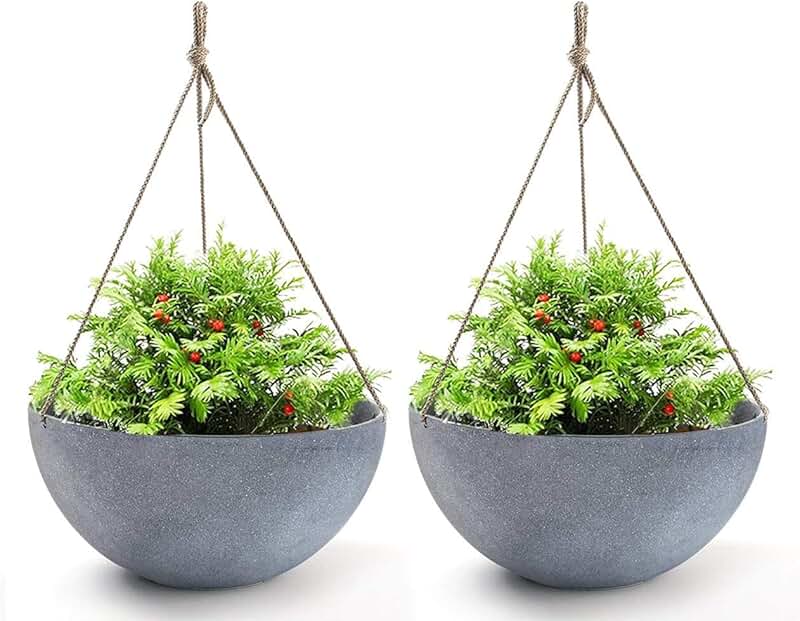 Hanging Planters & Baskets Amazon.co.uk
