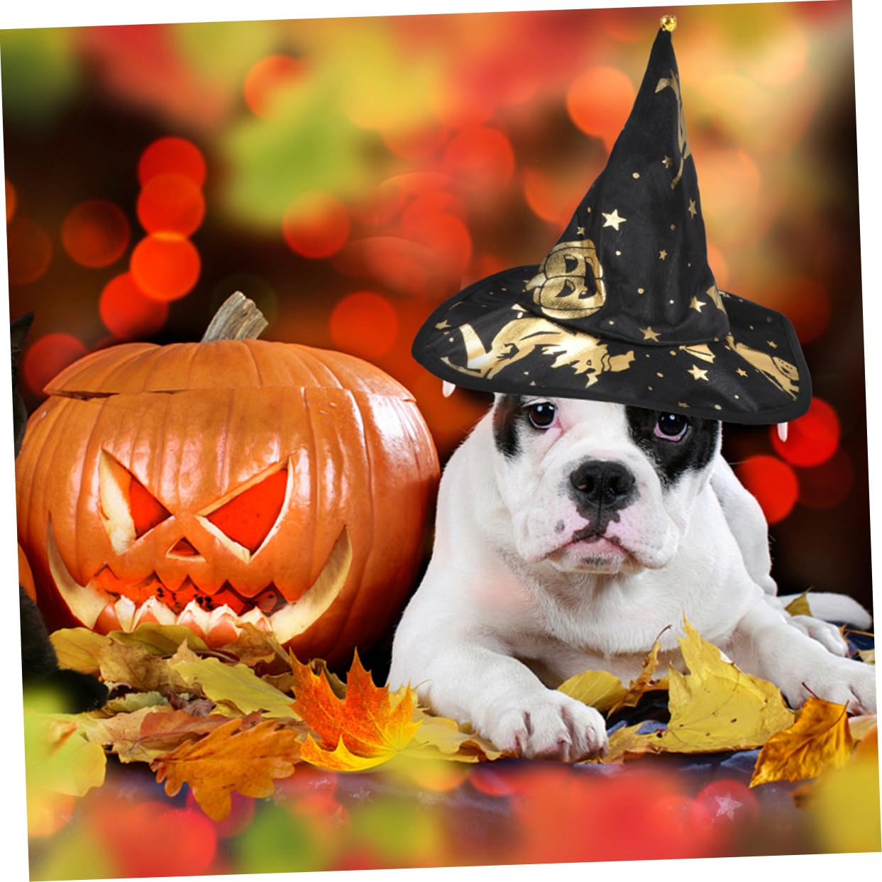 FRCOLOR 5 Set Stampato Mantello Da Mago Costume Per Il Gatto Mantello Da Strega Piccolo Cane Halloween Costume Del Cane Vestiti Dell'Animale Domestico Di Halloween o Del
