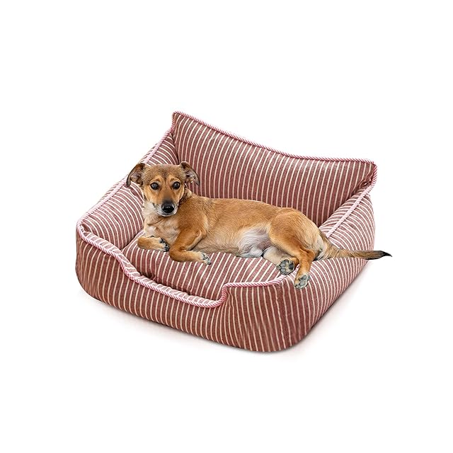 PETCUTE Cama Gato y Perros Pequeños,Camas para Perros,Ortopédica Cama para Perros de Espuma Viscoelástica…