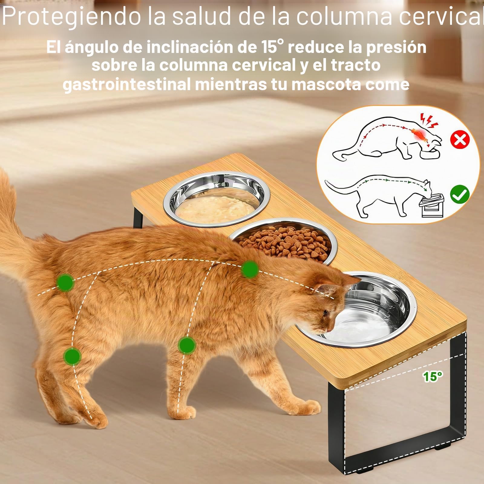 Comedero Gato Elevado con Antideslizante Alfombrilla & Soporte, 3 Comederos Gatos Acero Inoxidable Inclinado 15°, Cuenco Perro Alimentos Agua Bebedero Elevados Antivómitos para Gatos, Perros Pequeños