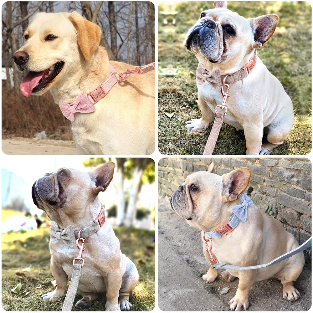 Collier De Chien Personnalisé Colliers De Chien en Nylon Personnalisés Nom Gravé ID Réglable pour Petit Moyen Grand Chien Chihuahua,Laisse Collier Rose,M.