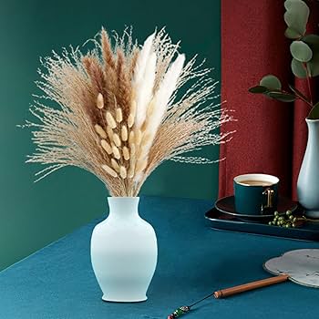 パンパスグラス ドライフラワー 楽天市場】【ドライ】大地農園/フェザーパンパス 5本 ナチュラル