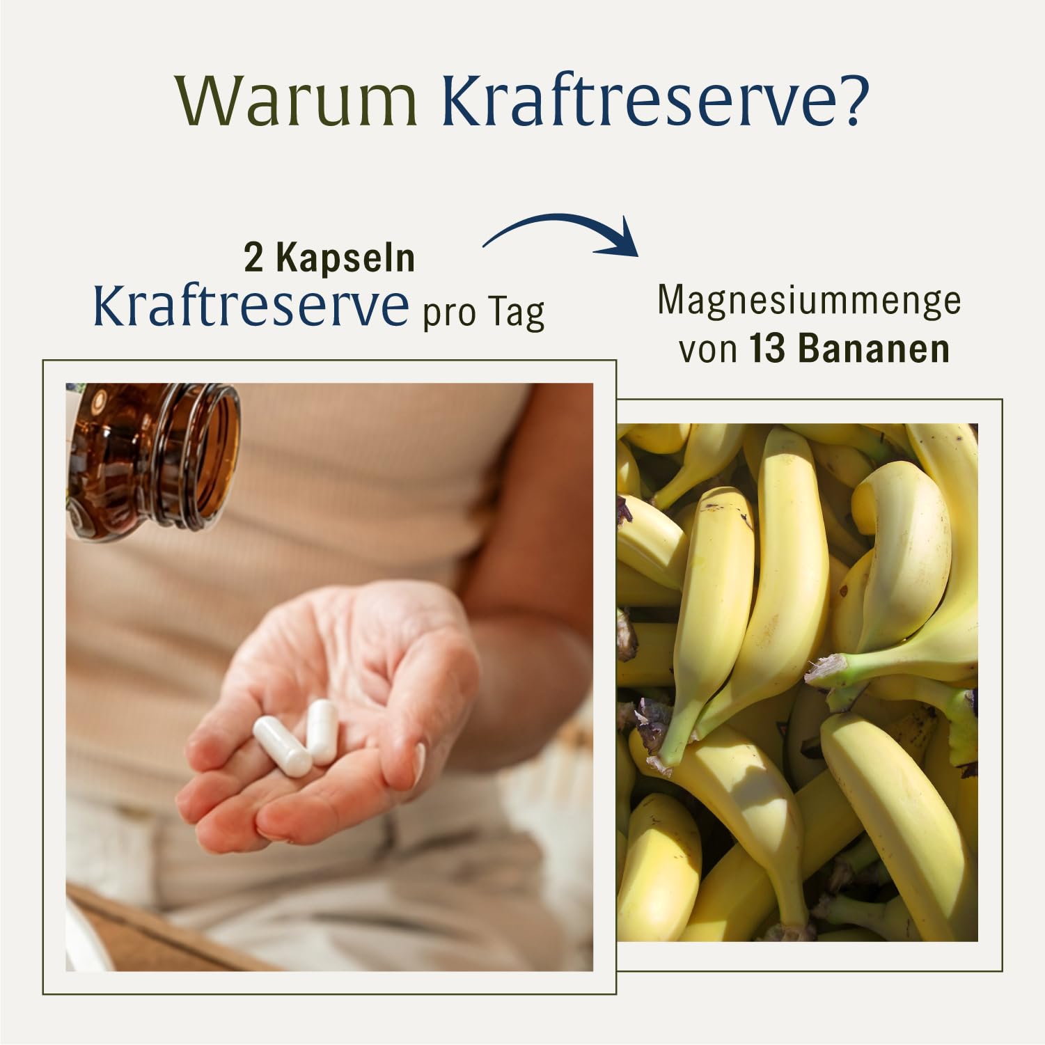 NATURTREU® Magnesium Komplex hochdosiert - Komplex mit: Magnesiumcitrat, Bisglycinat, Magnesium Malat und Magnesiumoxid - Vegan - 180 Kapseln