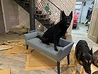 Review Image by Ashley Cunnington Ashley Cunnington