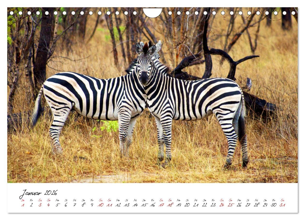 Namibia - Magie der Weite (Wandkalender 2026 DIN A4 quer), CALVENDO Monatskalender: Hochwertiger Fotokalender mit Motiven aus Namibia.