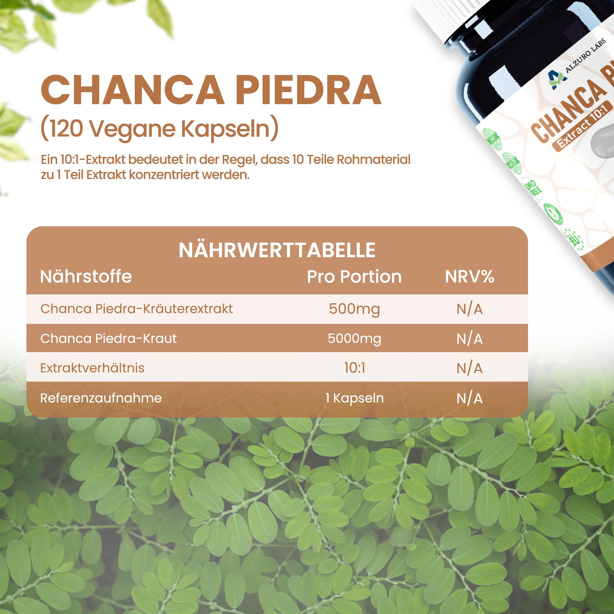 Chanca Piedra – Phyllanthus niruri | 5.000 mg Äquivalent | Hochdosiert 500 mg 10:1 Extrakt | 120 vegane Kapseln | GMP & Laborgeprüft