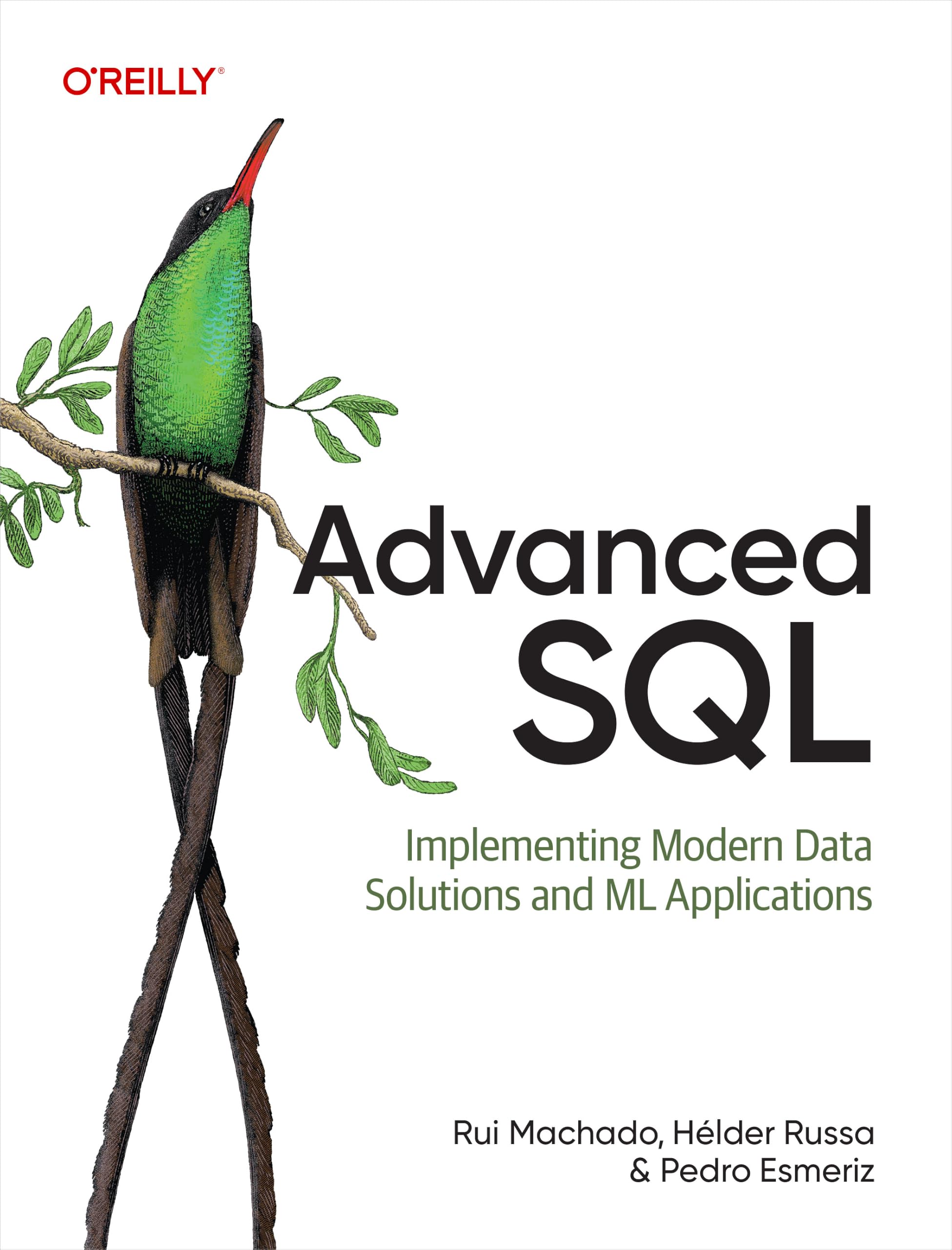 Advanced SQL by Rui Machado, Helder Russa, Pedro Esmeriz - 9798341627482