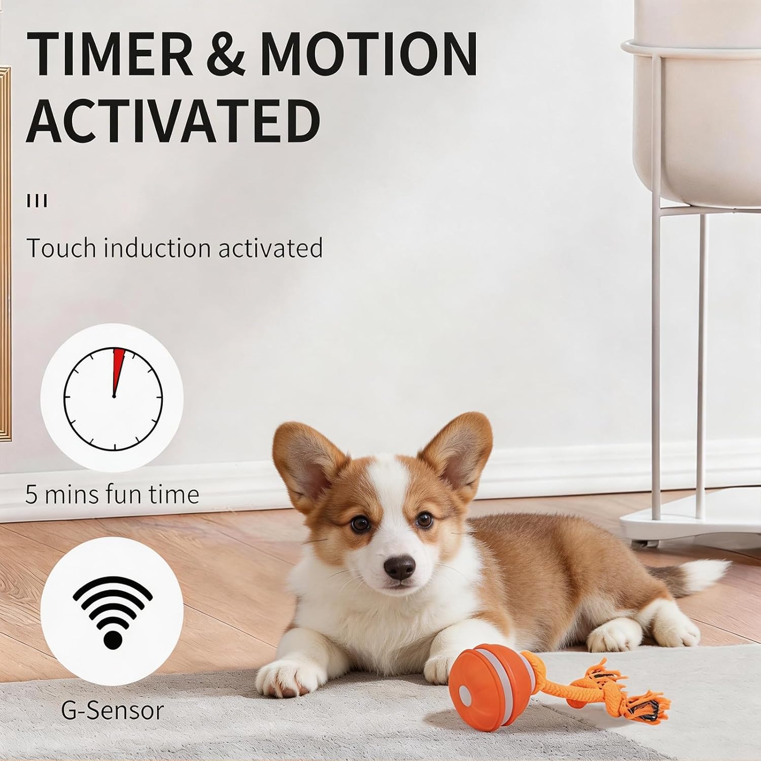 2 Pack Interactive Dog Toys - Orange & Blue Automatic Rolling Ball with Bird Sound, Durable Chew Toy for Small Medium Dogs & Cats, Type-C Rechargeable (Blue + Orange)