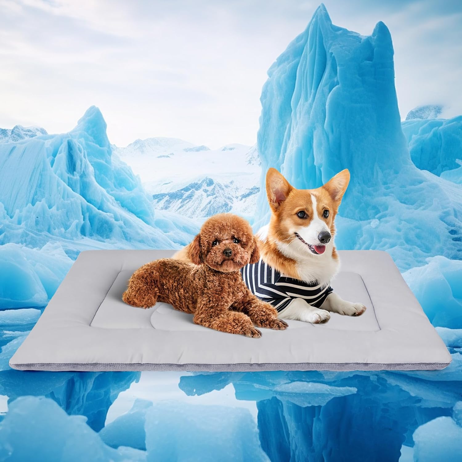 Dog Cooling Mat, Self-Cooling Pad Reversible(Cool & Warm), 37″x24″ Medium, Pet Ice Silk Cool Bed for Dog and Cat use in Crate, Kennel, Bed, Sofa, Machine Washable, Durable, Non-Toxic Gel