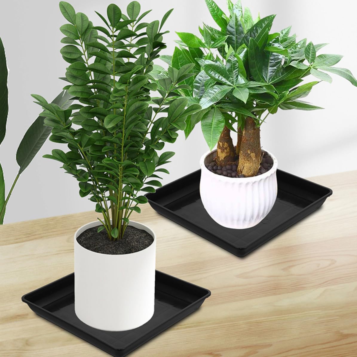 Mikinona Plato para Macetas Rectangular Negro de PP 3 Piezas para Plantas | Base Estable, Recoge Derrames y Tierra, Uso Diario en Alfombra, Formato Compacto para Flores