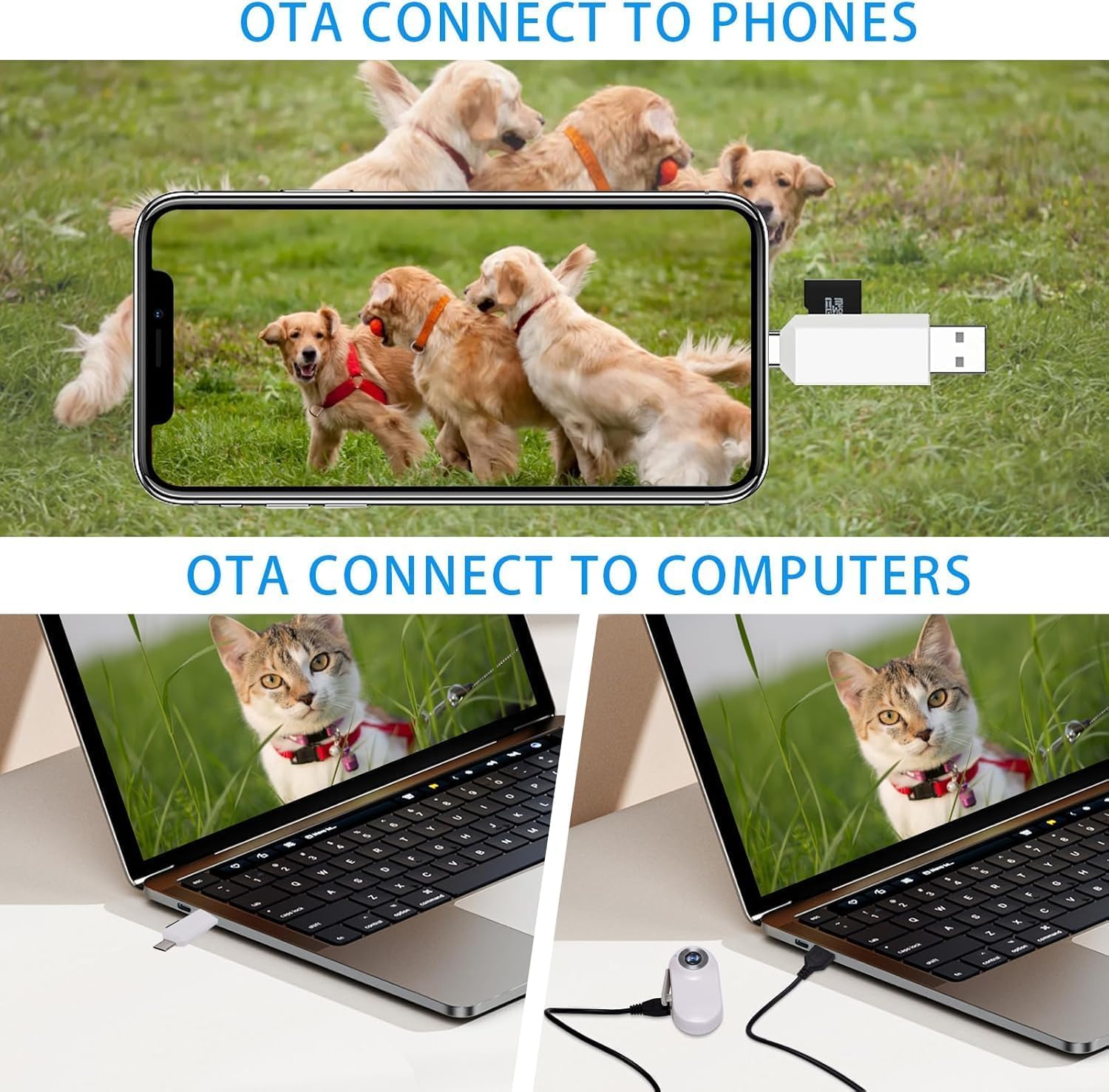 Collier de caméra pour chat 32 G HD 1080P pour chien avec carte SD