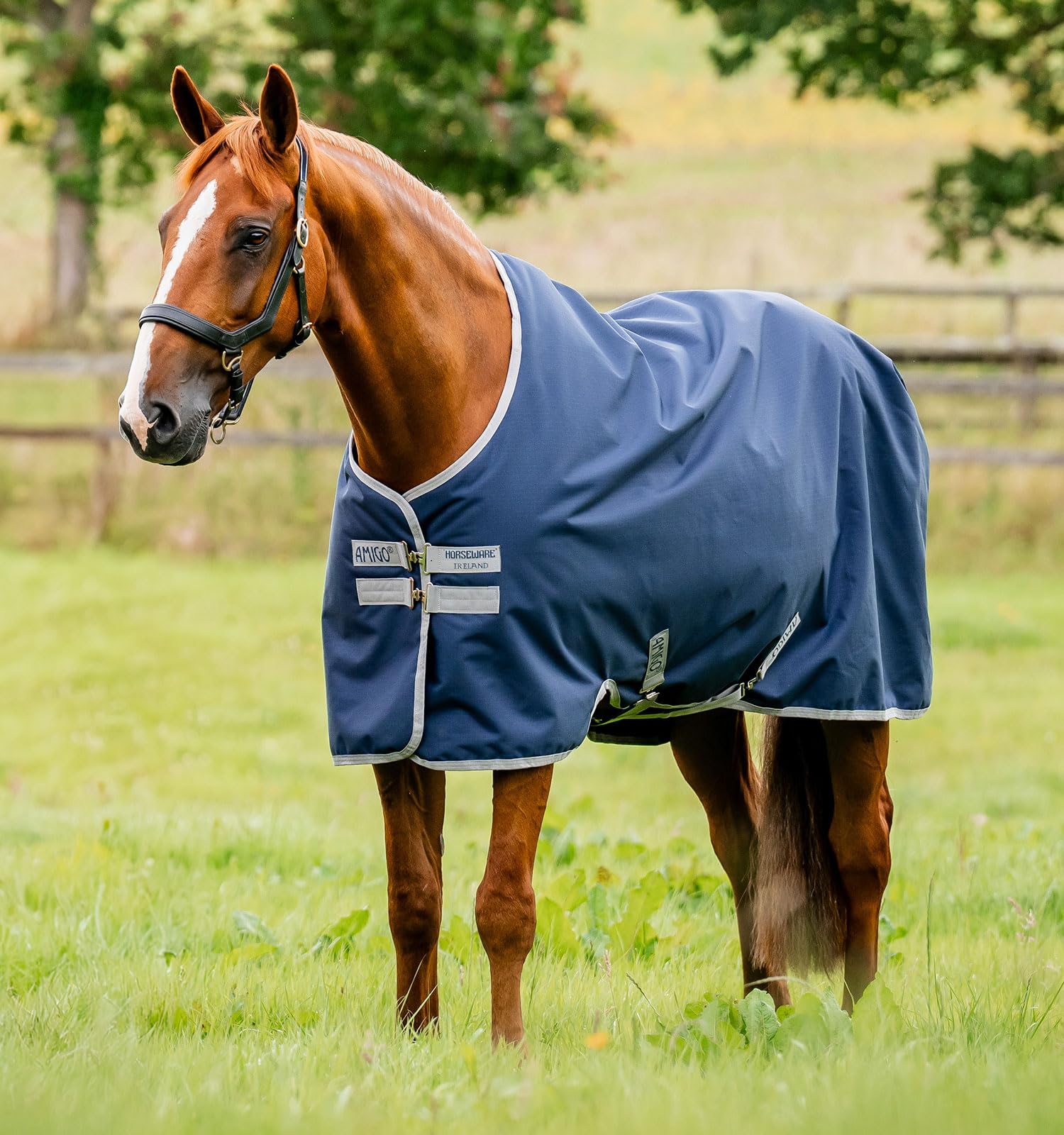 Horseware Amigo Ripstop 900D Lite 0g Turnout Manta Marina / Titanium Grey