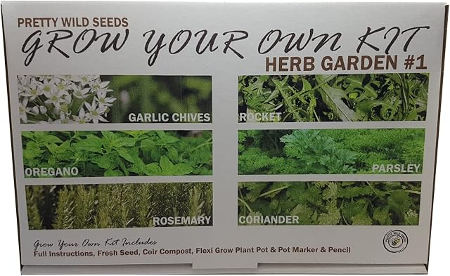 Herb Garden #1 Grow Your Own Kit with Garlic Chives Rosemary Coriander Oregano Rocket & Parsley Seeds Perfect Herbs for Kids & Beginners Schools Gardening Clubs