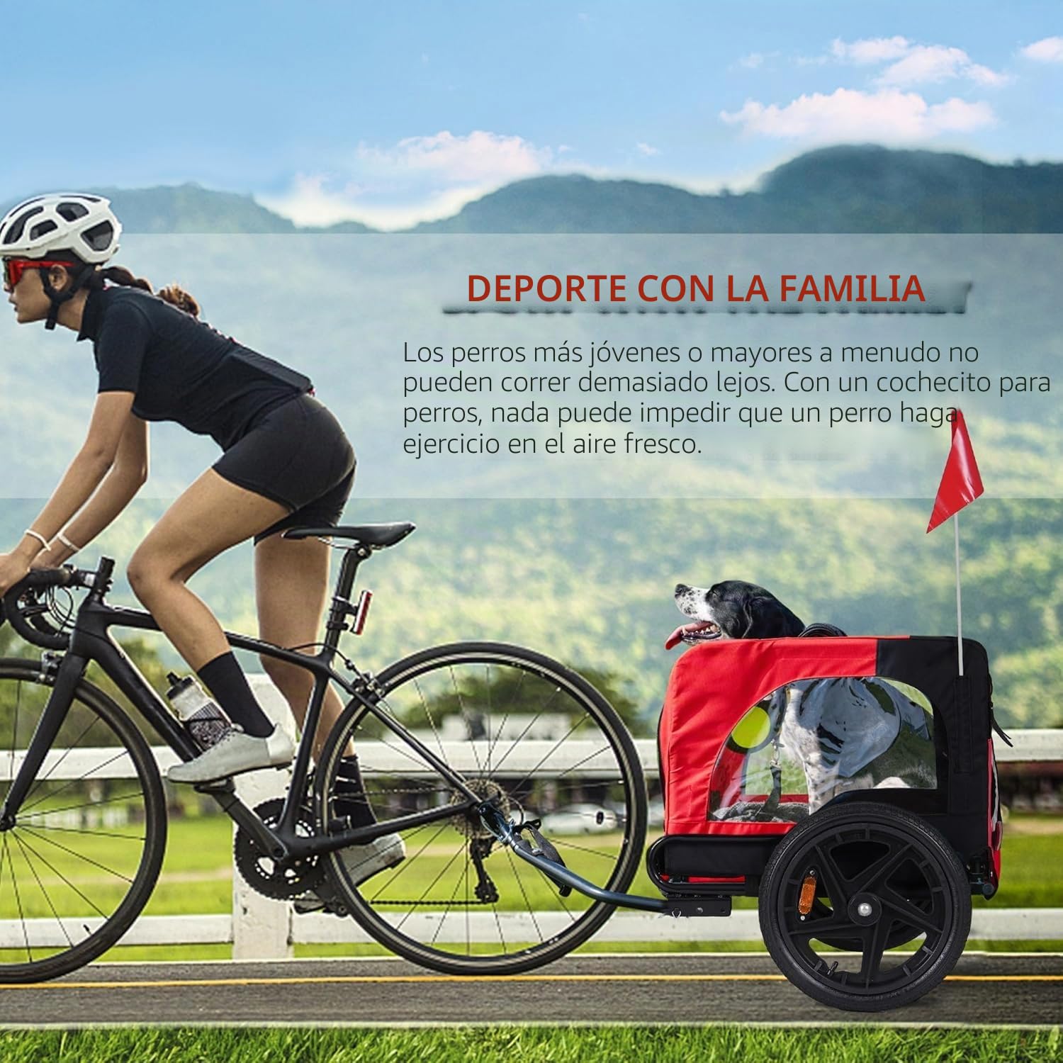 sogesfurniture Remolque plegable para bicicleta para perro, con acoplamiento, bandera, reflector, lona Oxford 600D, para perros