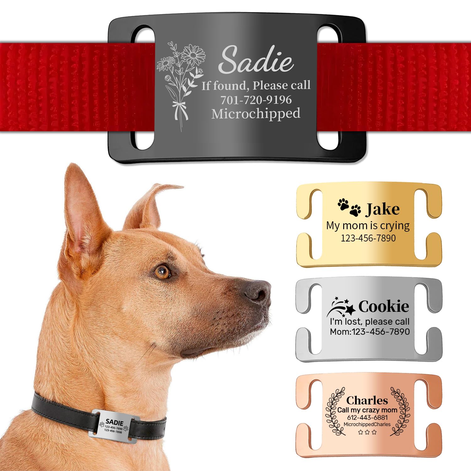 Personalised Dog Tags for Pets Engraved Name Tags, ID Tag, Slide-on Dog Collar Tags - Personalised Dog Identity Tag for Collar,Custom Dog Tags Silent