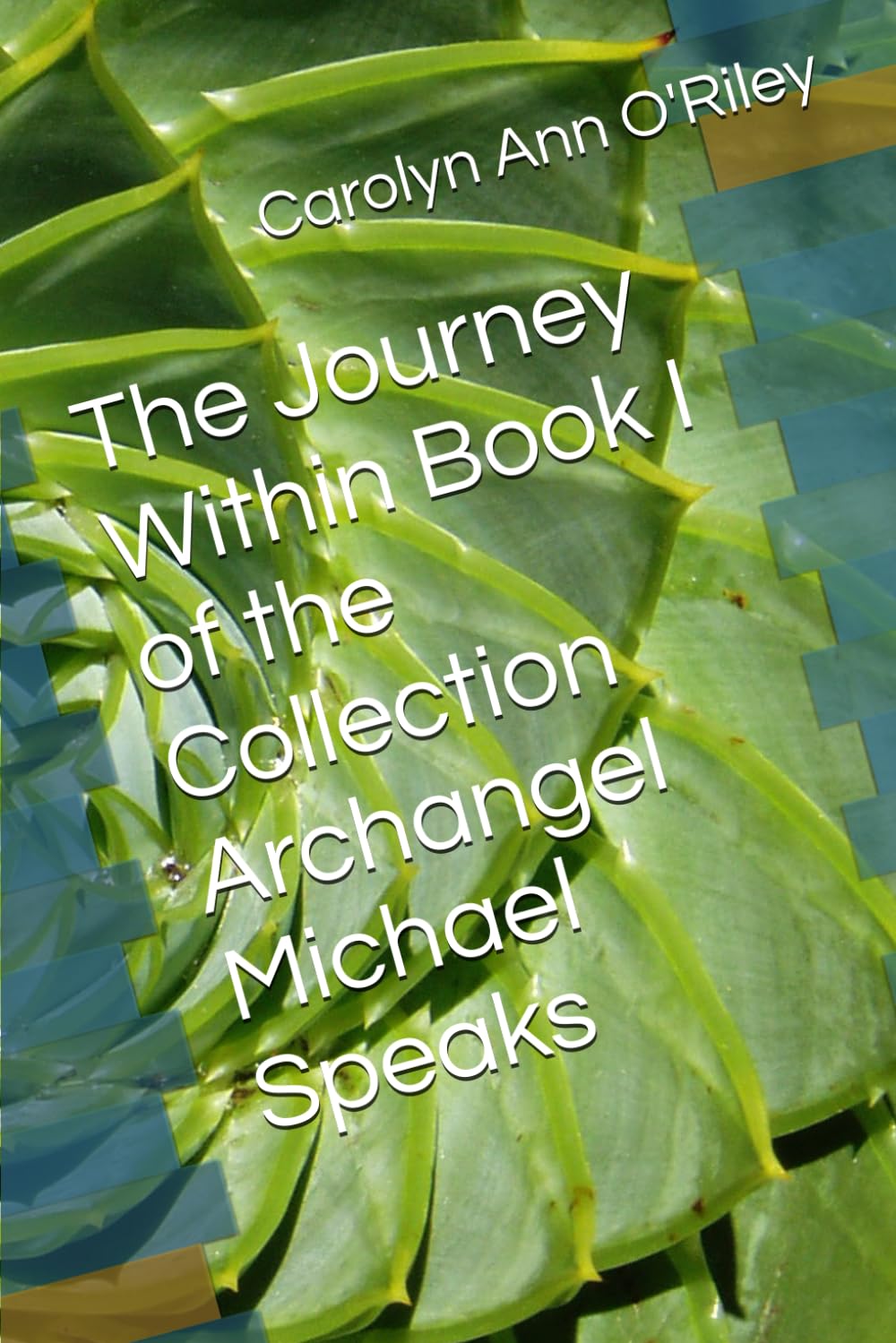 The Journey Within Book I of the Collection Archangel Michael Speaks
