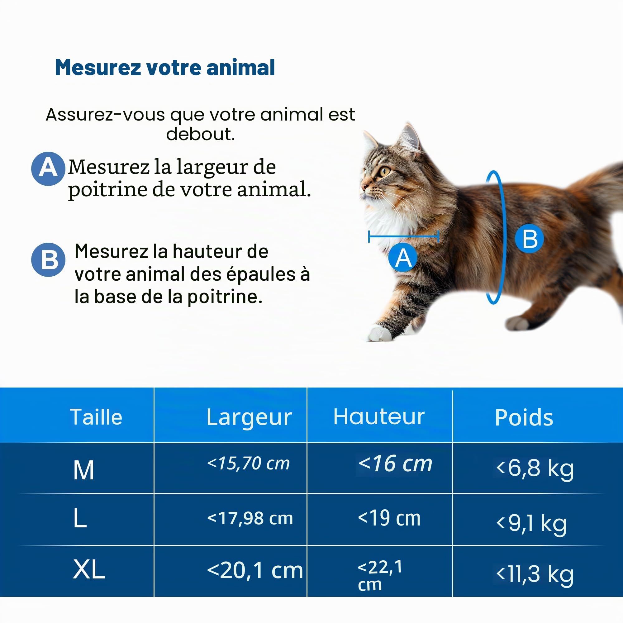 CEESC Chatière pour Chat, Chatière Verrouillable à 4 Voies pour Chat, Petit Chien, Facile à Installer et à Utiliser(M,Blanc)