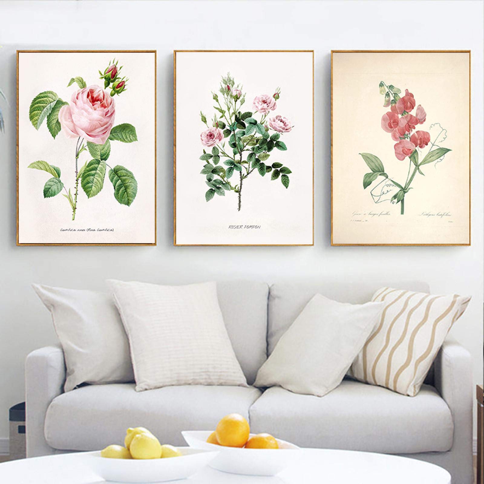 Amazon｜ヴィンテージ植物学キャンバス絵画ポスターとプリント植物