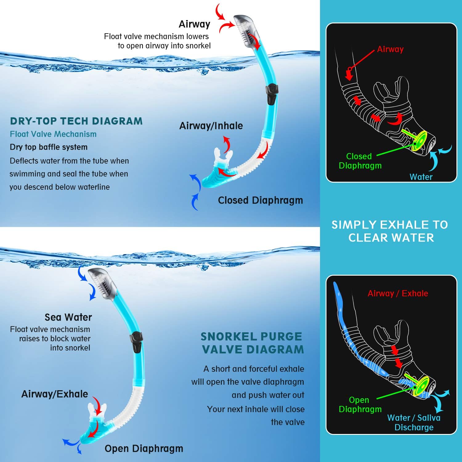 ZEEPORTE Mask Fin Snorkel Set with Adult Snorkeling Gear, Panoramic View Diving Mask, Trek Fin, Dry Top Snorkel +Travel Bags, Snorkel for Lap Swimming : Sports & Outdoors