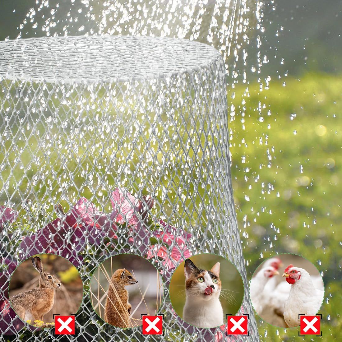 boldworks Campane da Giardino per Piante, Gabbie in Filo Metallico per Proteggere dagli Animali all'aperto, Extra Large, antiruggine, Maglia più Spessa e fine, 30,5 x 50,8 cm, Confezione da 6