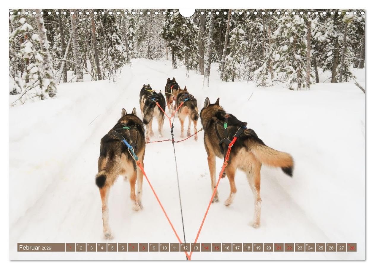 Finnisch Lappland (Wandkalender 2026 DIN A3 quer), CALVENDO Monatskalender: Weite Natur, Rentiere und Polarlichter: Für alle Finnland/Lappland-Fans ein toller Begleiter durchs ganze Jahr!