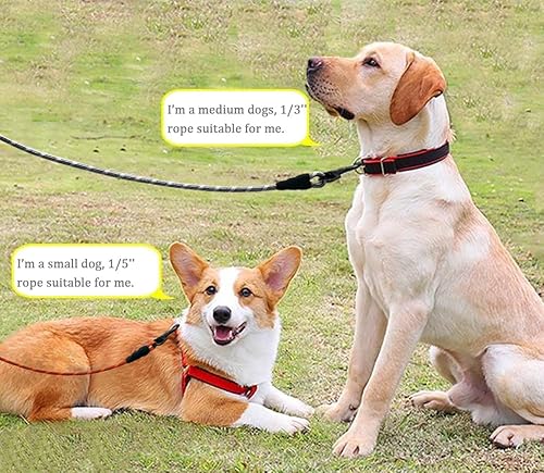 Miniatura 8 de WYuZe Correa de cuerda de perro de 15 pulgadas, 13 pulgadas, correa de perro ligera y resistente con clip de metal giratorio, correa de nailon para