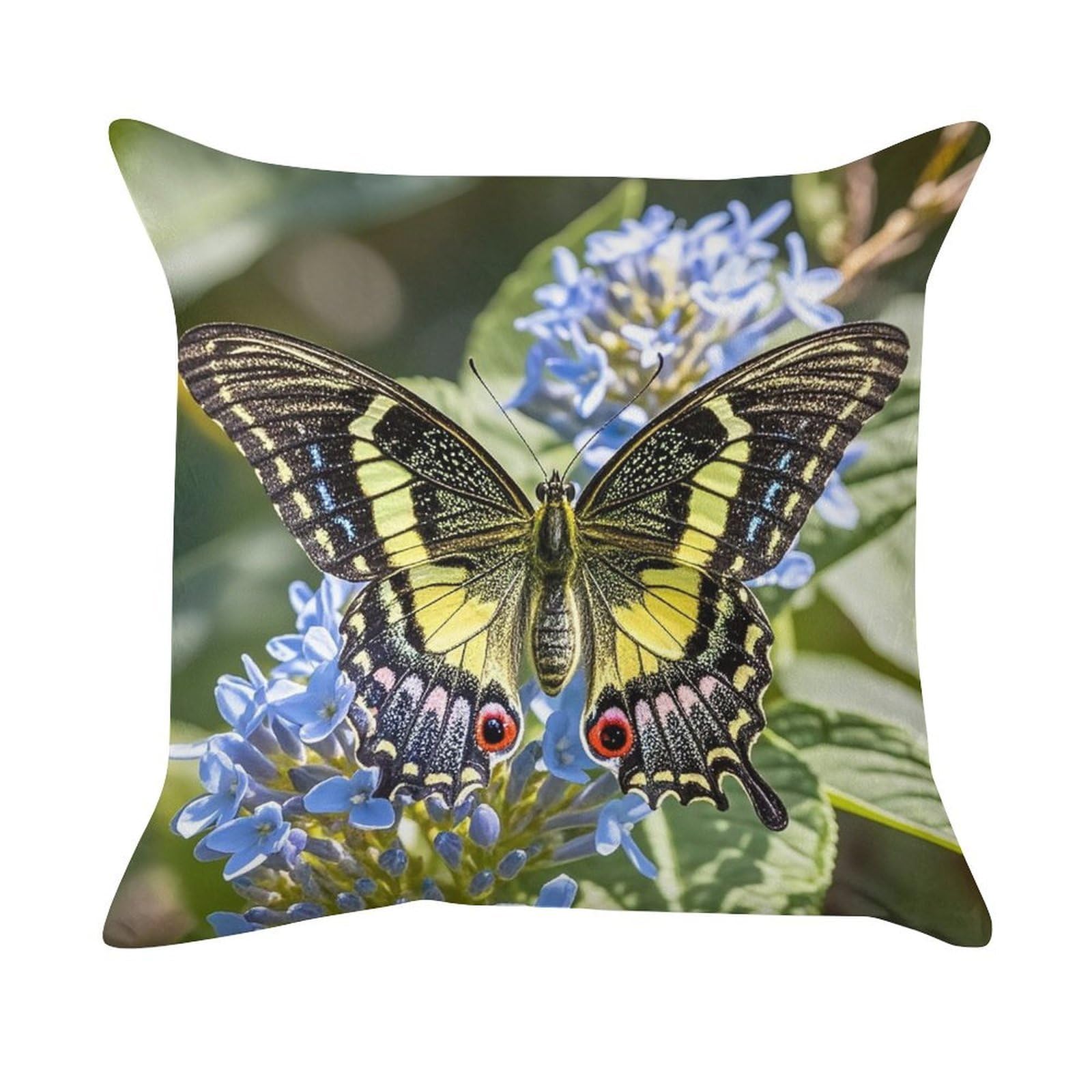 FekiLoot Nice Butterfly Pillow Covers Luxury Velvet Square Pillowcases Throw Pillows Case with Invisible Zipper Decorative Velvet Cushion Covers Ultra Soft Lumbar Pillow Shells