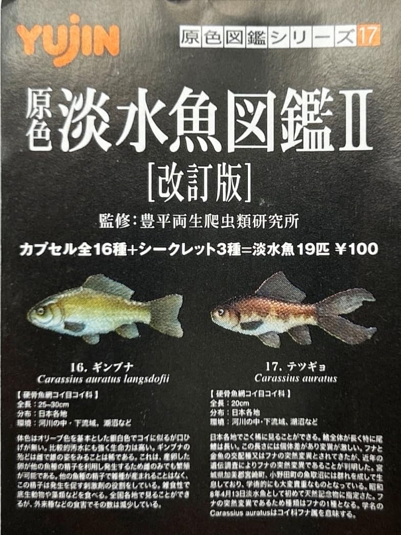 Amazon | 〓Yujin ユージン〓原色淡水魚図鑑II 改訂版 オヤニラミ Amazon | 〓Yujin ユージン〓原色淡水魚図鑑II 改訂版 オヤニラミ
