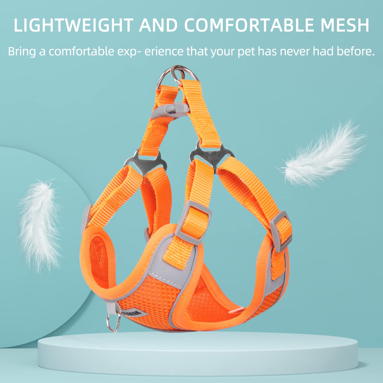 rennaio Dog Harness No Pull, Adjustable Puppy Harness with 2 Lead Clips, Ultra Breathable Padded Dog Vest Harness - Image 3