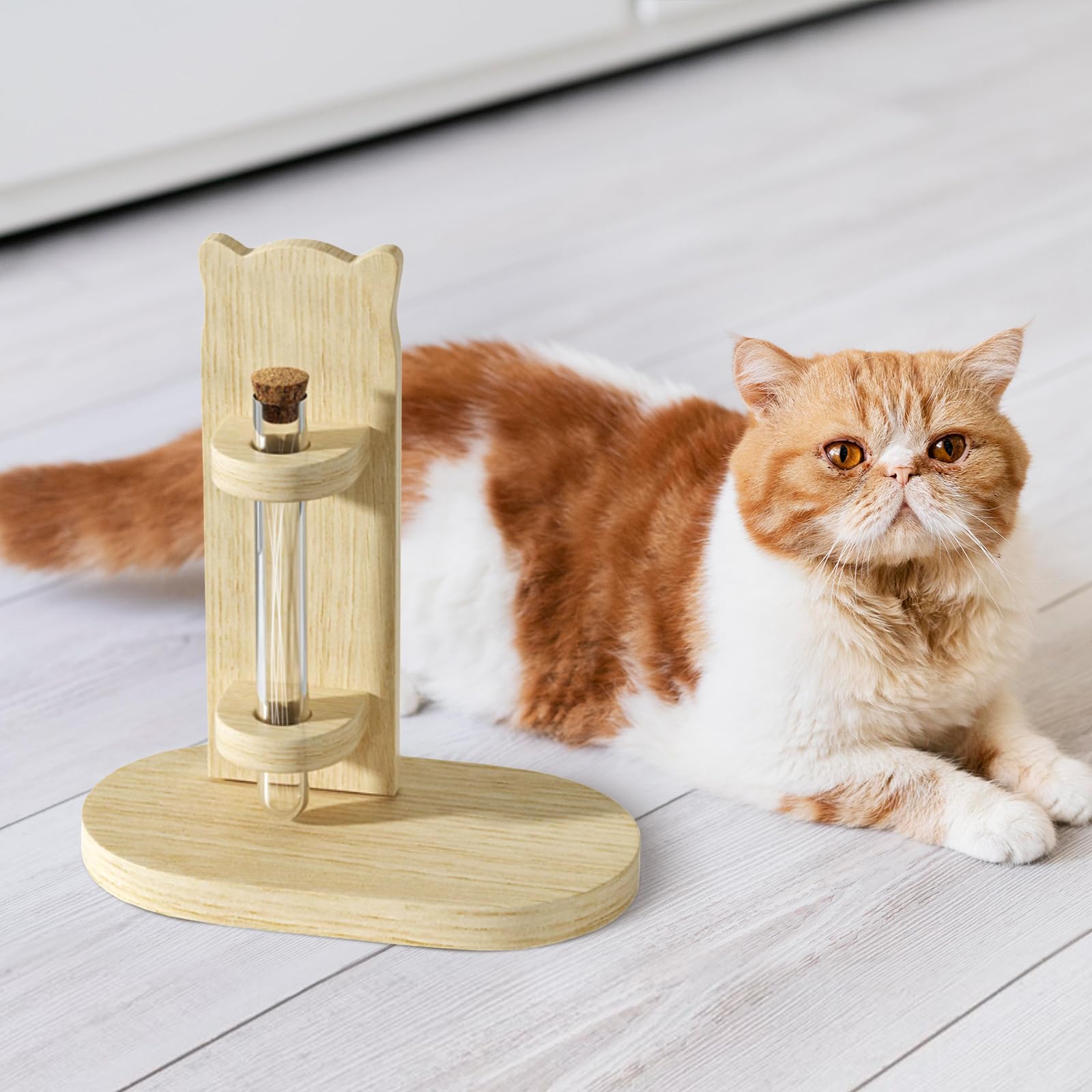 Amazon.co.jp: TTETTZ 猫のひげケース 猫のひげ瓶 木製 猫のひげの収納