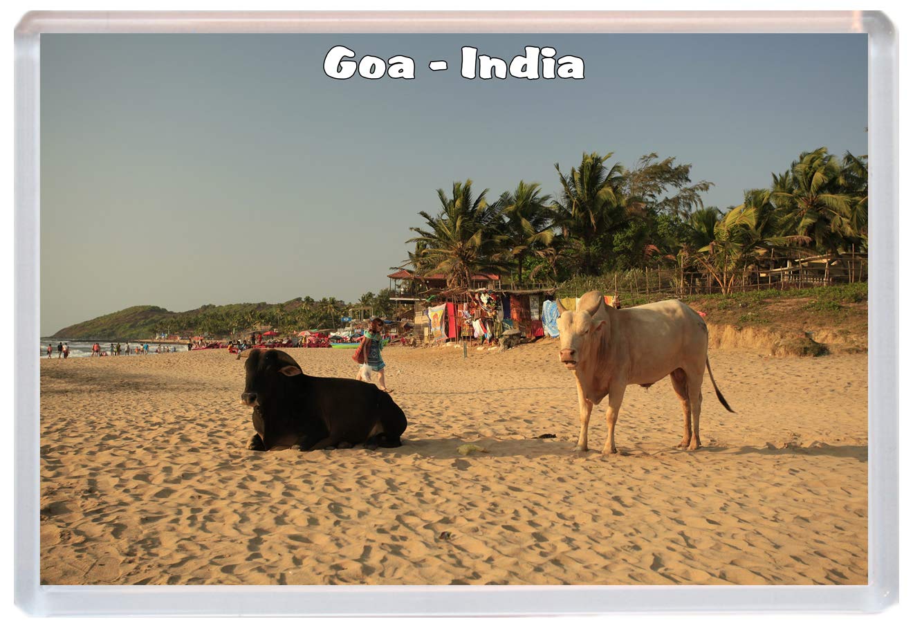 Goa - India - Jumbo Fridge Magnet/Magnets BBSM845