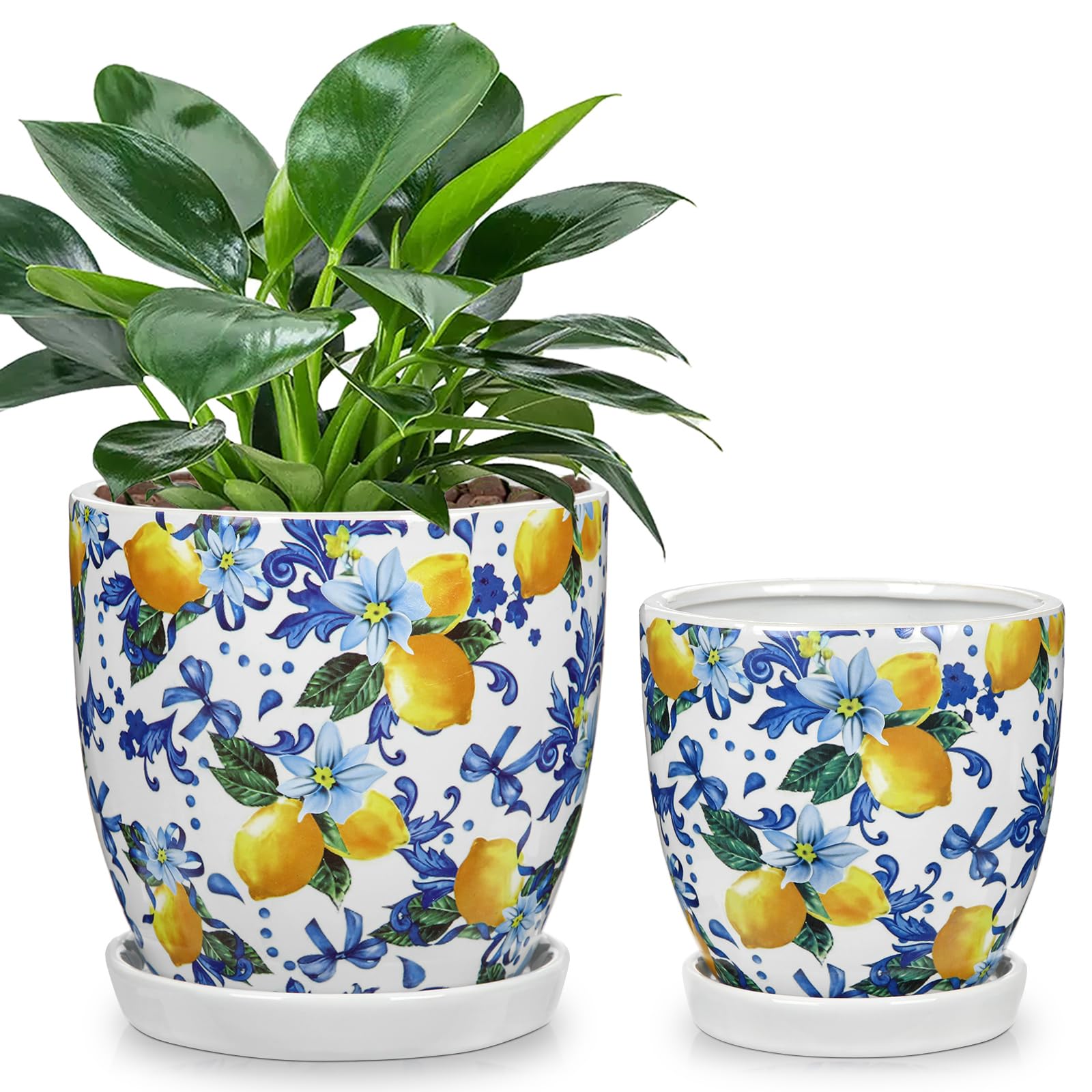 Oairse 5.3+4.3 inch Ceramic Plant Pots, Set of 2 Blue and White Plant Pot with Drainage Holes and Saucers Small Lemon Indoor Planters Decorative Flower Pots for Succulents, Cacti, Snake Plants, Herbs