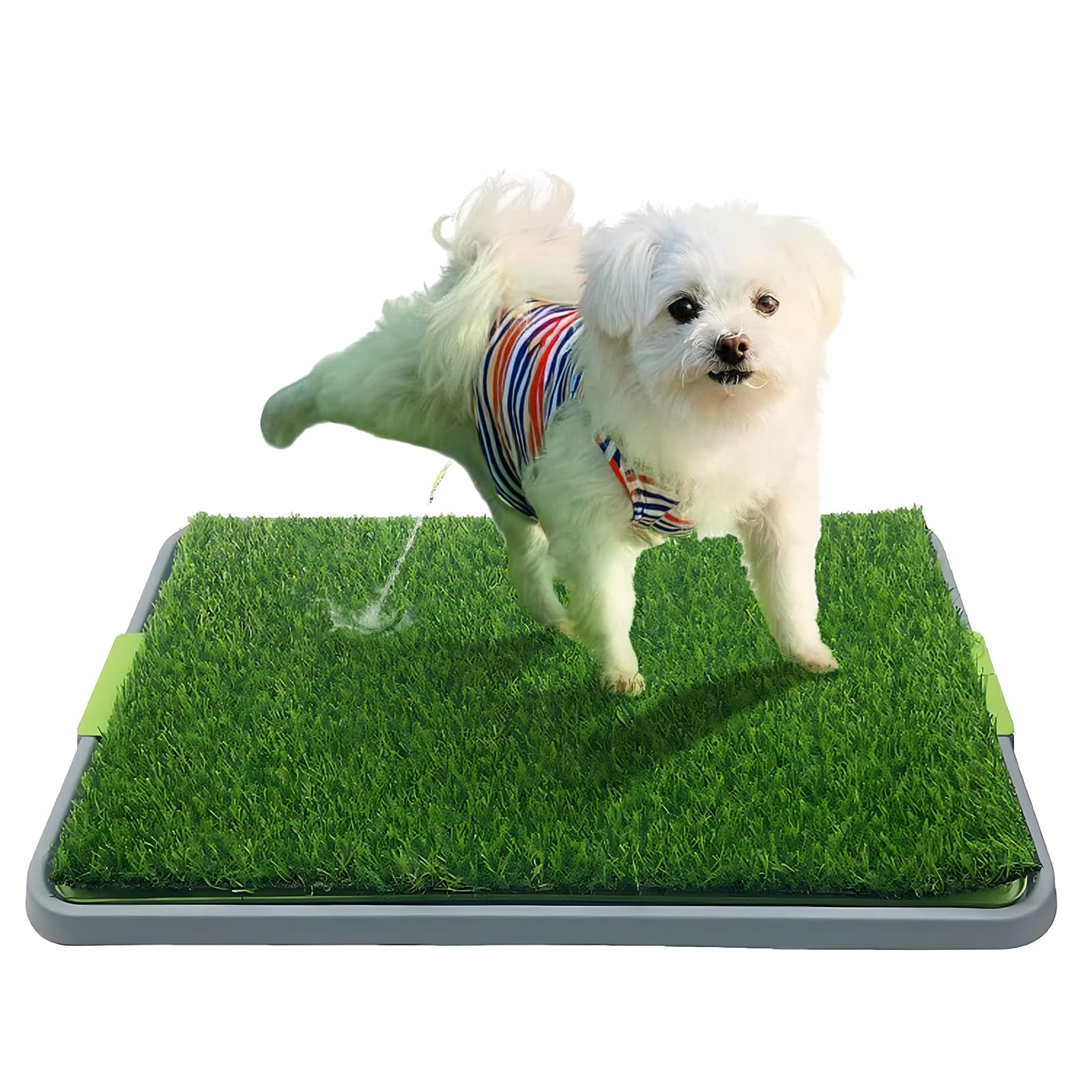 Bac de toilette pour chien avec tapis lavable pour pipi et gazon artificiel pour chiens chiots, litière portative pour chien d'intérieur