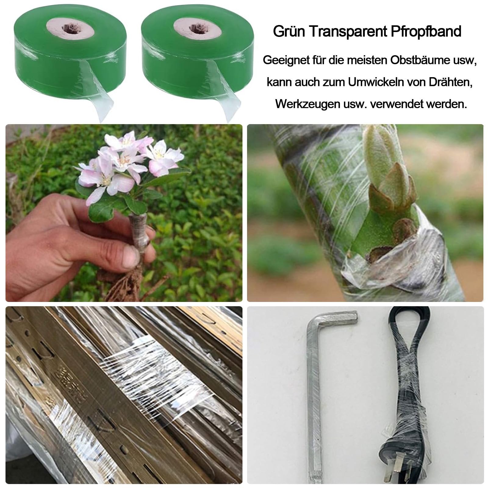 Nastro Per Innesti Trasparente - 4 Rotoli Da 2 Cm X 100m Per Gemme E Riparazione Piante - Foto 6