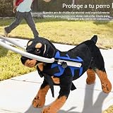 Ver la foto 4