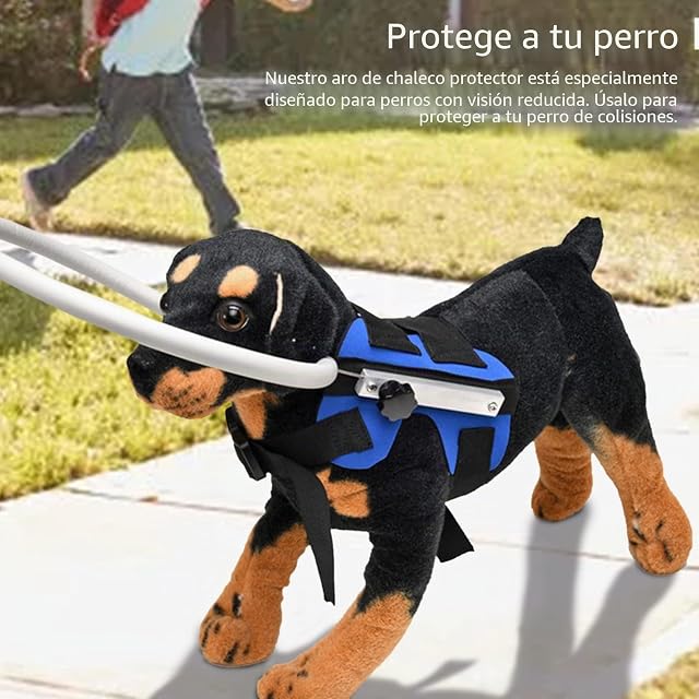 Foto 4 de 7 de Blind Dog Halo - Equipo guía para gatos ciegos con hebilla ajustable