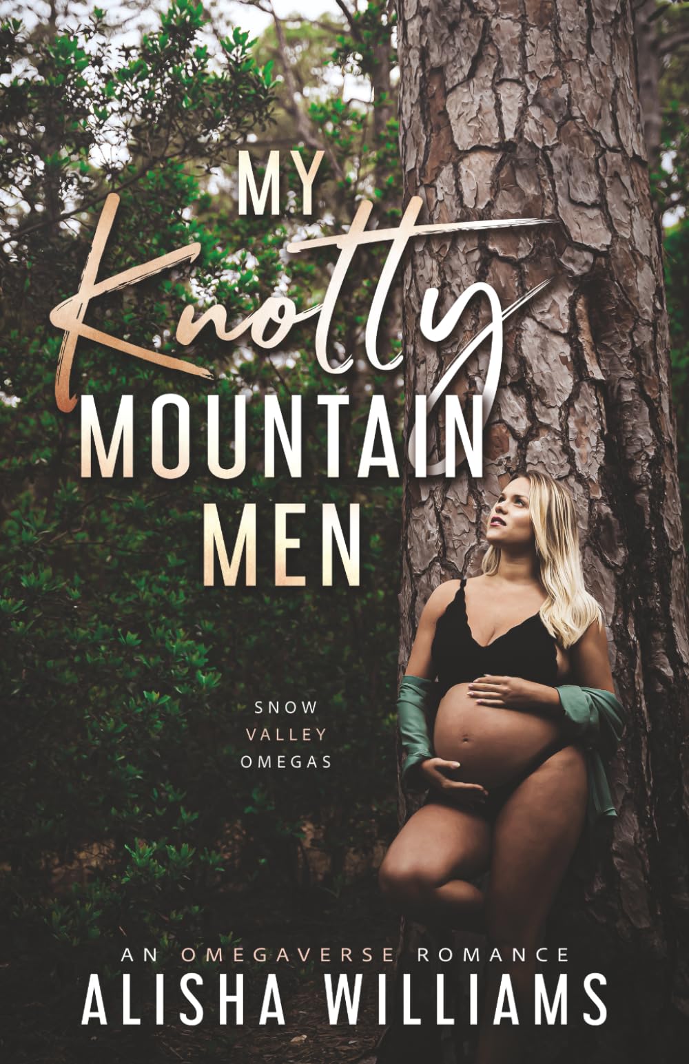 My Knotty Mountain Men: An Omegaverse Standalone Romance: 1 (Snow Valley Omegas)