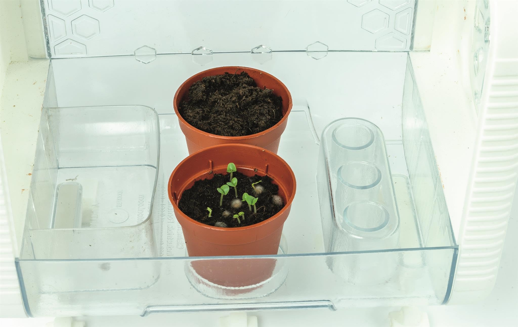 Clementoni Smart-Tech - Invernadero - Kit Interactivo de Ciencia de Plantas Stem con sensores, Pantalla LCD y Modos de Crecimiento para niños de 8 años en adelante