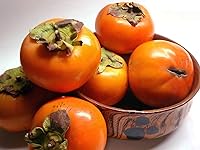 Vista 1 de Sun Dried Persimmons Organic Japanese Hand Massaged Hoshigaki 1 lb