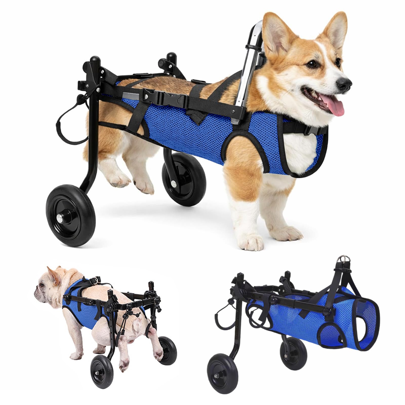 Dog Wheelchair for Rear Legs, Adjustable Mobility Aid Cart, Lightweight Aluminium Frame for Small Dogs/Cats, Paralysis, Disability (Dark Blue, M (Weight: 5-10 kg))