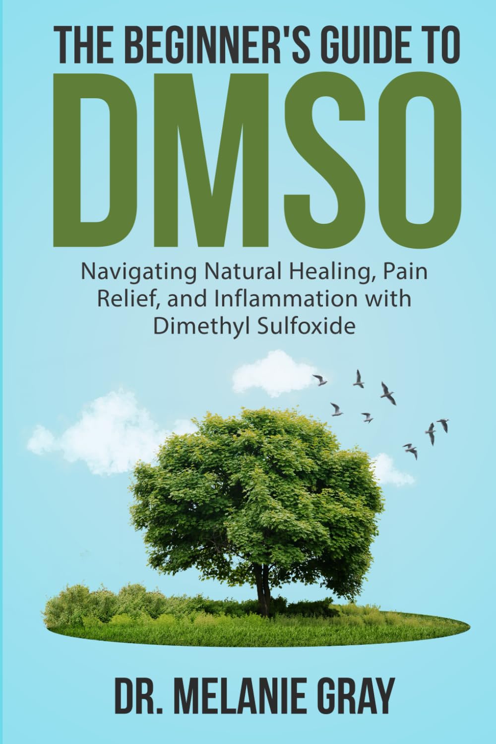 The Beginner's Guide to DMSO: Navigating Natural Healing, Pain Relief, and Inflammation with Dimethyl Sulfoxide