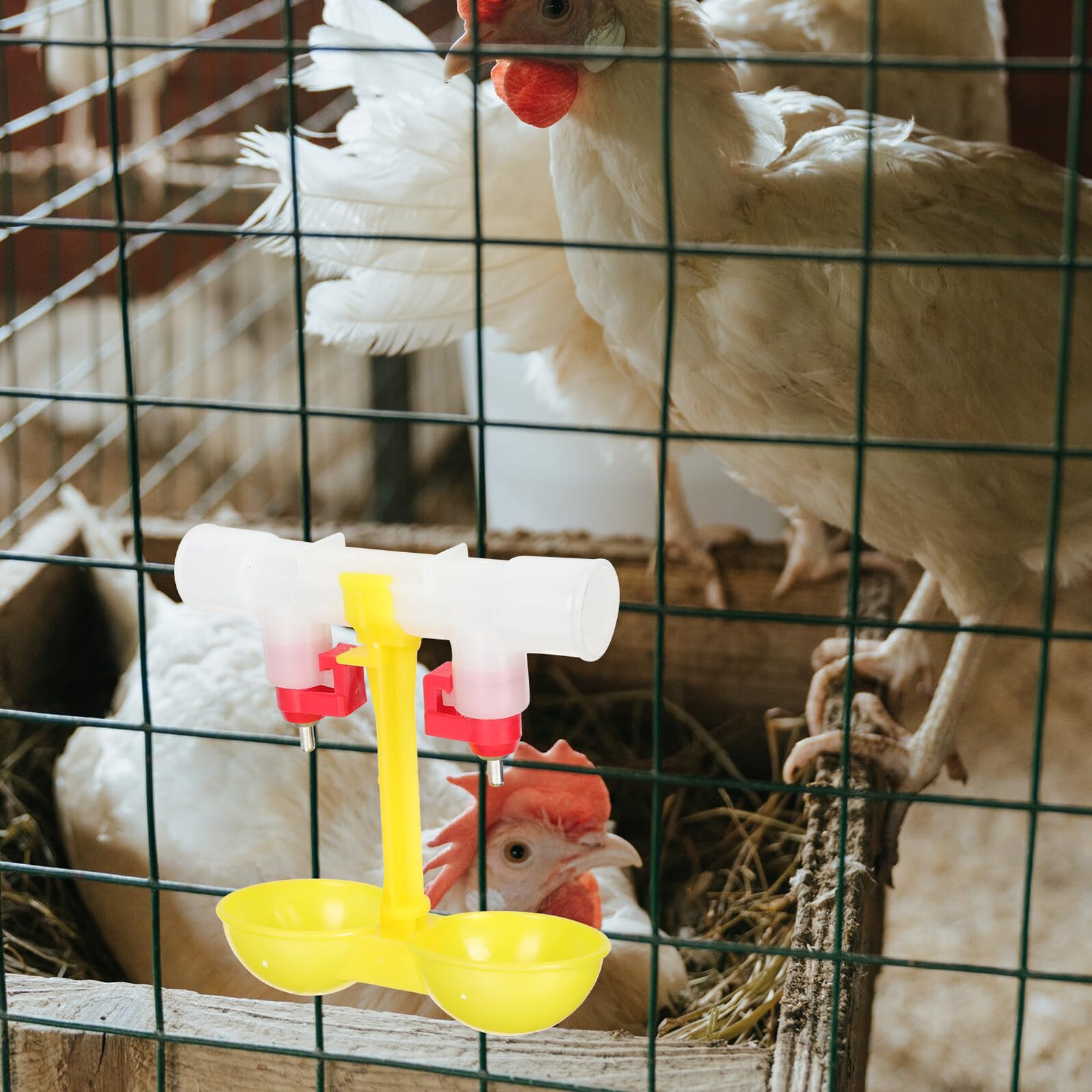 Abbeveratoio Galline Automatico 10 Pezzi, Acciaio Inox e Pp | Capezzolo 360°, Rimovibili, Facile Pulizia, per Quaglie e Polli, Dispenser ad Acqua
