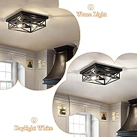 Vista 8 de Rustic Flush Mount Ceiling Light Fixture, Modern Farmhouse Light Fixture, Kitchen Hallway Light Fixtures for Bedroom,Dining Room Entryway,Industrial